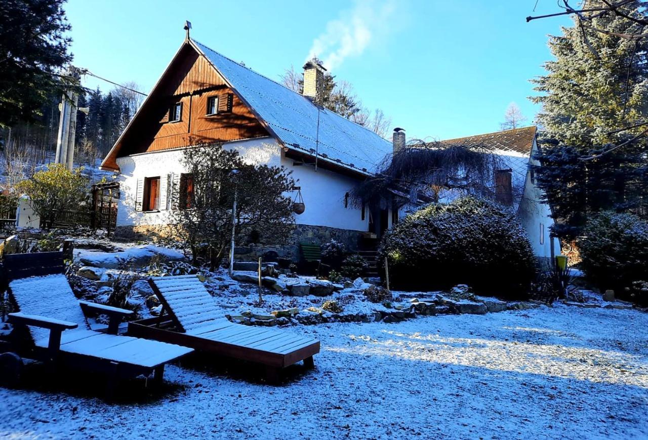Chaloupka U Lesa Vila Borotin Exterior foto